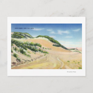 Aussicht auf die Kapuzenkühe und Dünen Postkarte