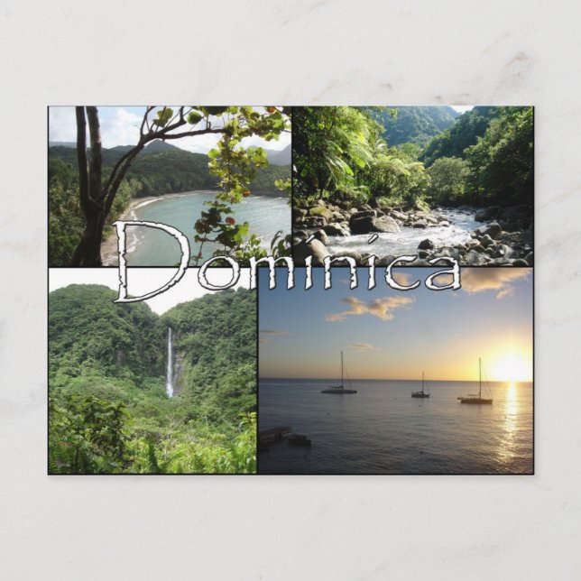 Aussicht auf die Nature Isle Post Card Postkarte (Vorderseite)