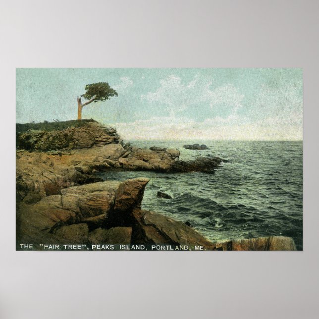 Aussicht auf die Peaks Island und den Pair Tree Poster (Vorne)