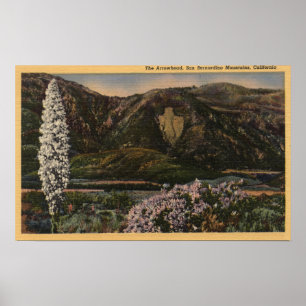 Aussicht auf die Pfeilspitze - San Bernardino Mts. Poster