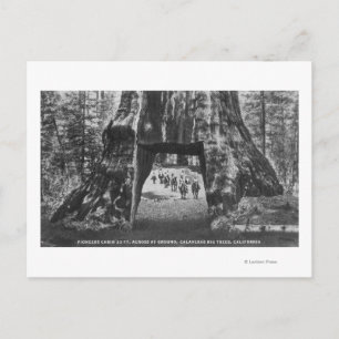 Aussicht auf die Pionierhütte, Männer auf dem Pfer Postkarte