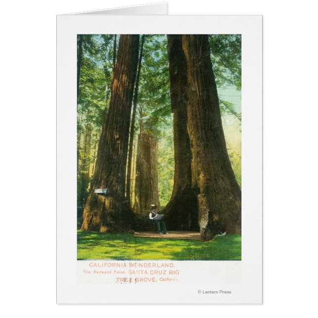 Aussicht auf die Redwood-Twins im Großen Baumbesta (Vorne)