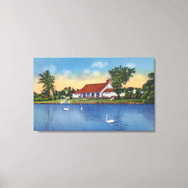 Aussicht auf die Schwäne des Hoopes Parks am See Leinwanddruck (Vorderseite)
