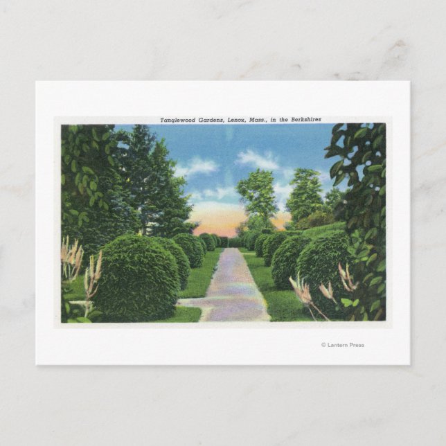 Aussicht auf die Tanglewood Gardens # 2 Postkarte (Vorderseite)