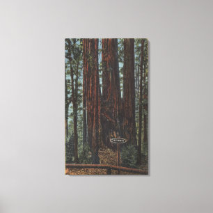 Aussicht auf "Drei Graces" im Big Trees Park Leinwanddruck