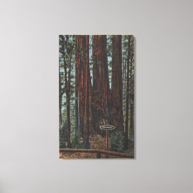 Aussicht auf "Drei Graces" im Big Trees Park Leinwanddruck (Vorderseite)