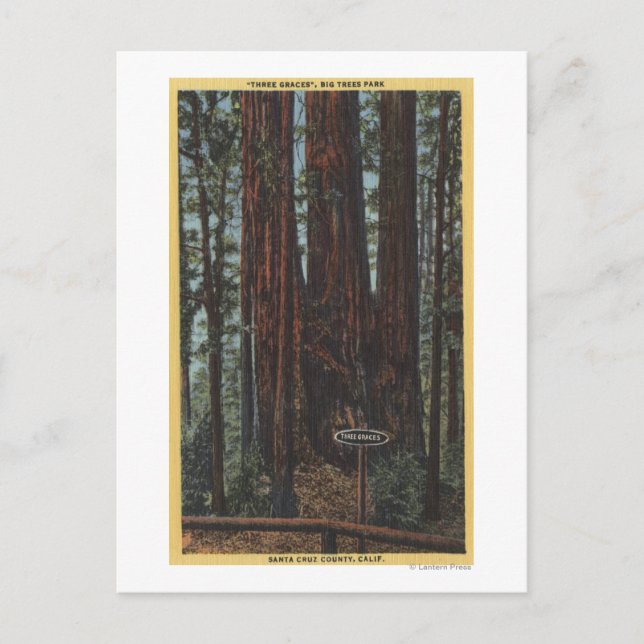 Aussicht auf "Drei Graces" im Big Trees Park Postkarte (Vorderseite)