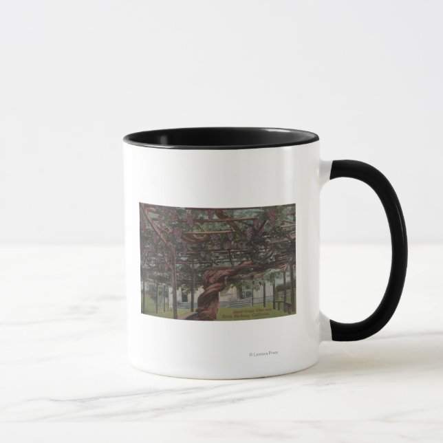 Aussicht auf einen Riesentraubstock Tasse (Rechts)