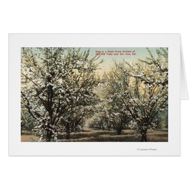 Aussicht auf einen Runengarten mit 300.000 Bäumen (Vorderseite (Horizontal))