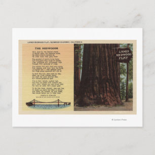 Aussicht auf Lanes - Redwood-Wohnung Postkarte