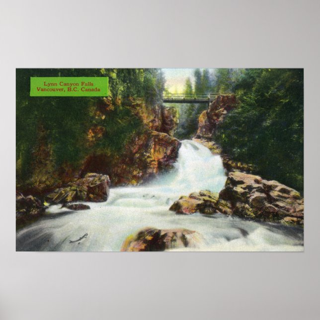 Aussicht auf Lynn Canyon Falls Poster (Vorne)