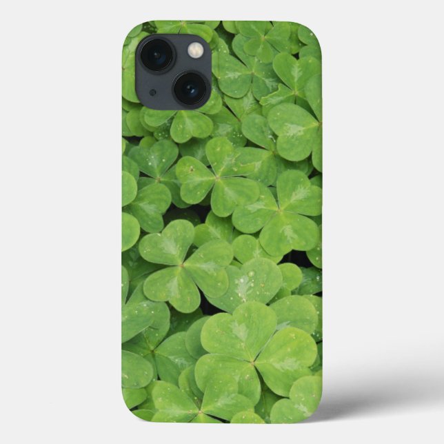 Aussicht auf Oxalis Oregana Wald Sorrel Foliage Case-Mate iPhone Hülle (Rückseite)