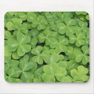 Aussicht auf Oxalis Oregana Wald Sorrel Foliage Mousepad
