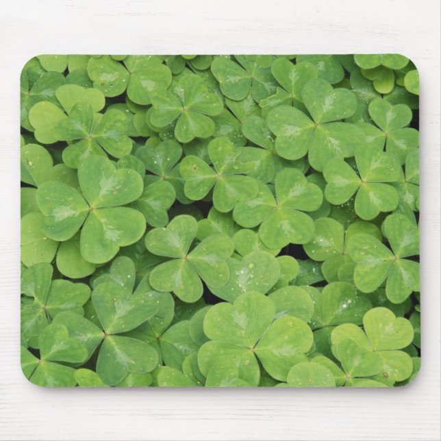 Aussicht auf Oxalis Oregana Wald Sorrel Foliage Mousepad (Vorne)