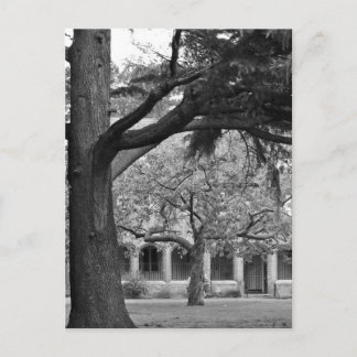 Aussicht auf Park Postkarte