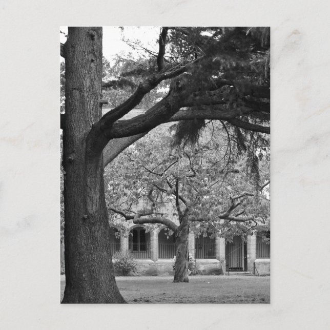 Aussicht auf Park Postkarte (Vorderseite)