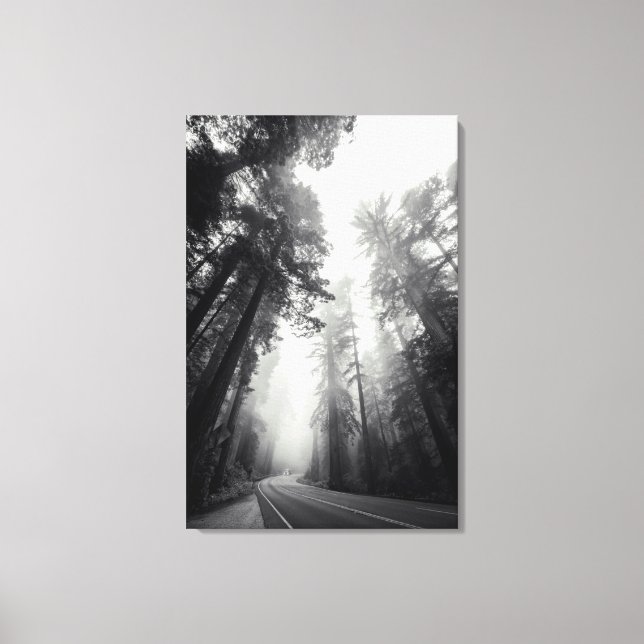 Aussicht auf Sequoia-Bäume im Wald Leinwanddruck (Vorderseite)