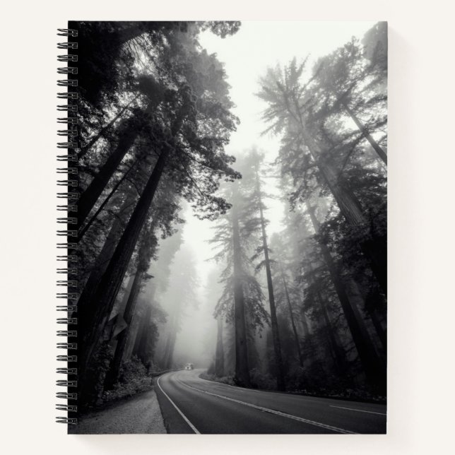 Aussicht auf Sequoia-Bäume im Wald Notizbuch (Vorderseite)