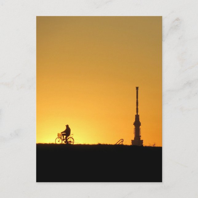Aussicht auf Tokio Skytree: Edogawa Riverbank Post Postkarte (Vorderseite)