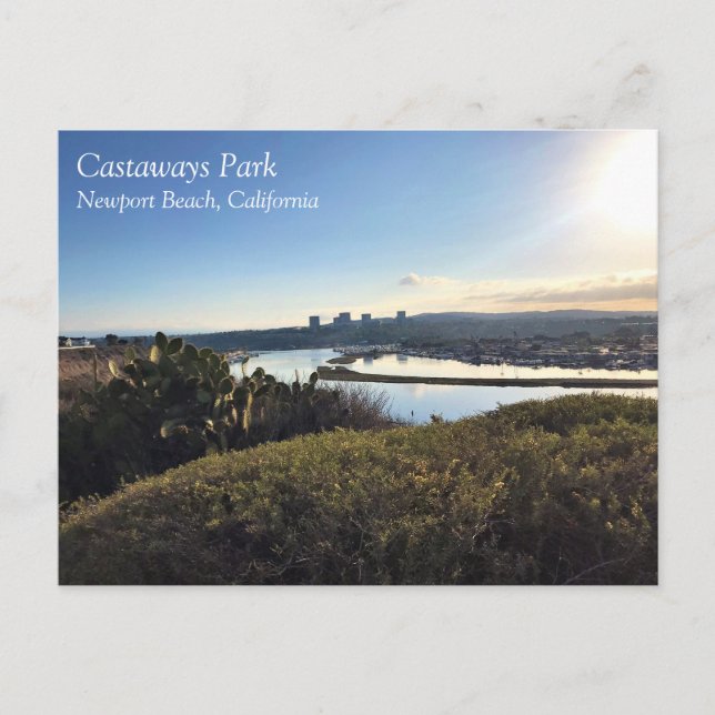 Aussicht vom Castaways Park, Newport Beach, CA, Postkarte (Vorderseite)