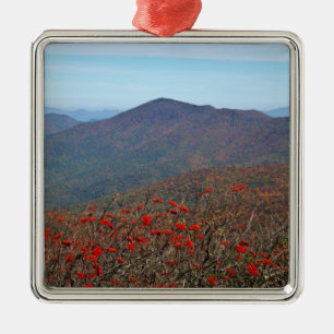 Aussicht vom Craggy Dome Mountain Silbernes Ornament