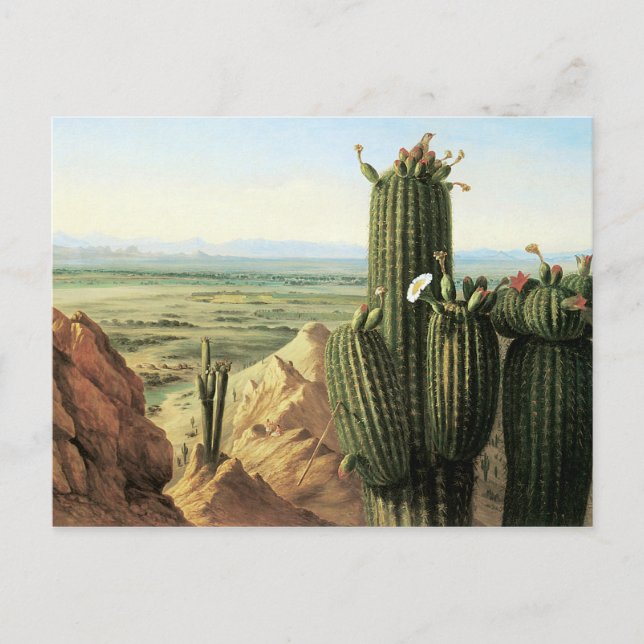 Aussicht vom Maricopa Berg in der Nähe des Flusses Postkarte (Vorderseite)