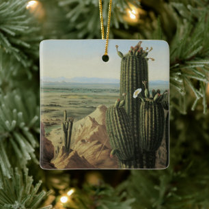 Aussicht vom Maricopa Berg in der Nähe von Rio Gil Keramikornament