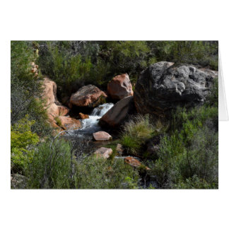 Aussicht vom North Kaibab Trail, Grand Canyon