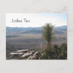 Aussicht vom Ryan Mountain - Joshua Tree Postkarte