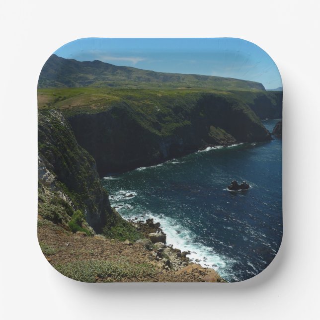 Aussicht von der Insel Santa Cruz auf die Kanalins Pappteller (Vorderseite)