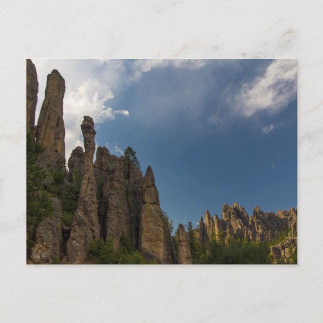 Aussicht von der Needles Highway, South Dakota Postkarte (Vorderseite)
