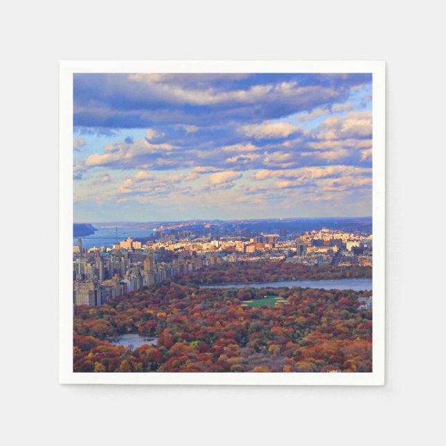 Aussicht von oben: Herbst im Central Park 01 Serviette (Vorderseite)