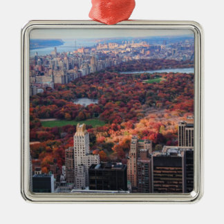 Aussicht von oben: Herbst im Central Park 01 Silbernes Ornament