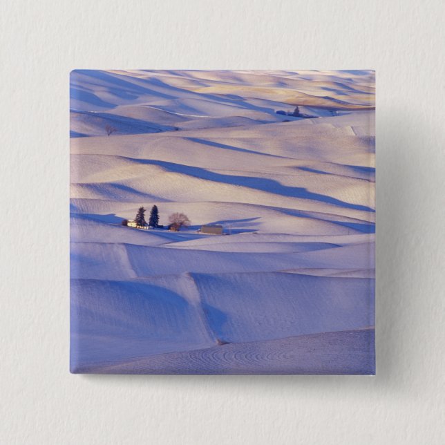 Aussicht von Steptoe Butte auf die Hügel Button (Vorderseite)