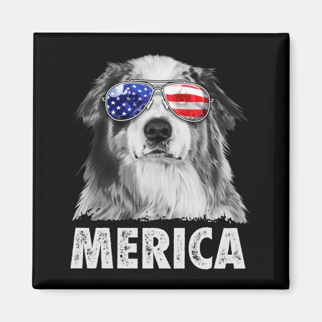 Aussie australian shepherd 4. Juli Merica Magnet (Vorne)