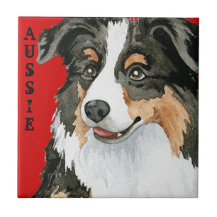 Aussie Color Block Fliese