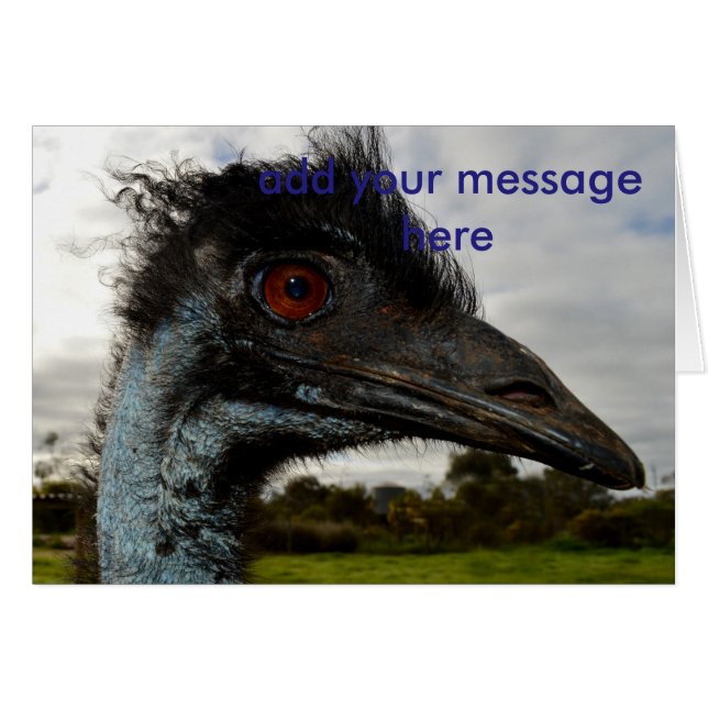 Aussie Emu Attraction, (Vorderseite (Horizontal))