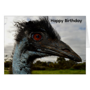 Aussie Emu Attraktion, Geburtstagskarte
