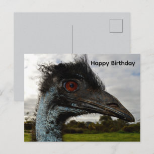 Aussie-Emu-Attraktion, Geburtstagspostkarte Postkarte