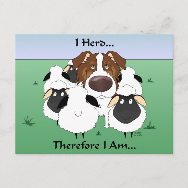 Aussie - I Herd Deshalb bin ich Postkarte (Vorderseite)