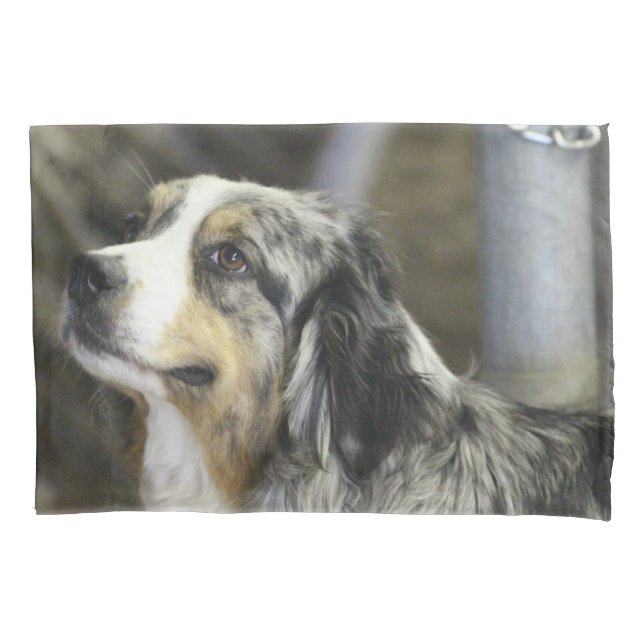 Aussie Kissenbezug (Vorderseite)