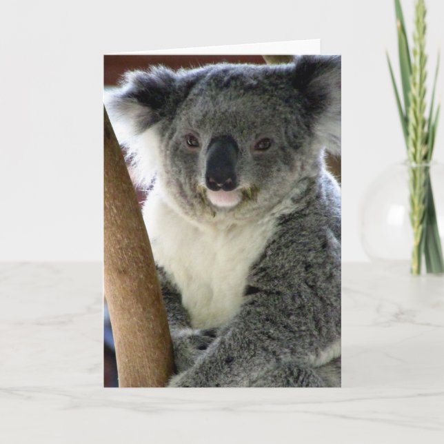 aussie koala karte (Vorderseite)