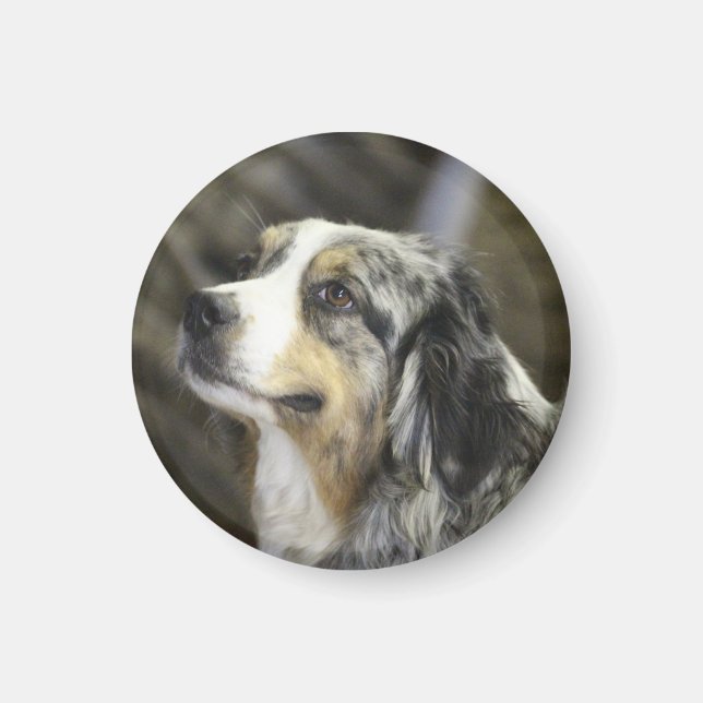 Aussie Magnet (Vorne)