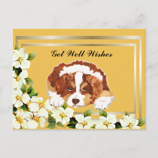 Aussie Red Tri Puppy Get Well Postcard Postkarte (Vorderseite)