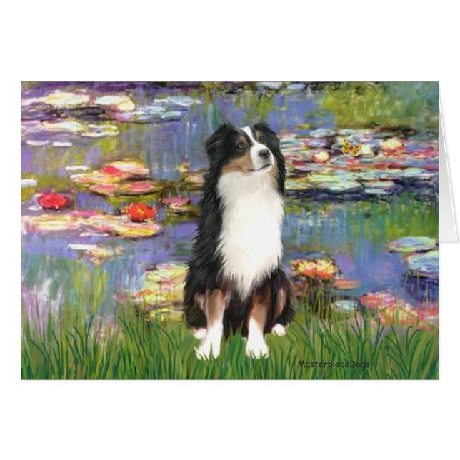 Aussie Shep 2 - Garden (Vorderseite (Horizontal))