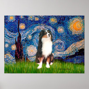 Aussie Shep (Tri2) - Starry Night Poster