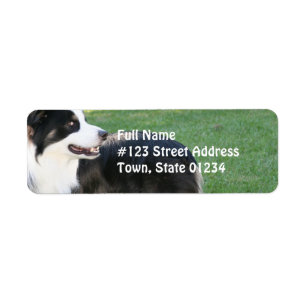 Aussie Shepherd Rücksendeadresse Mailing Labels