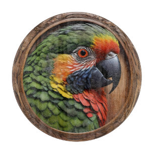 Aussie Spirit: Ein Lorikeet, das in geschnitztem H Schneidebrett