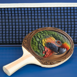 Aussie Spirit: Ein Lorikeet, das in geschnitztem H Tischtennis Schläger
