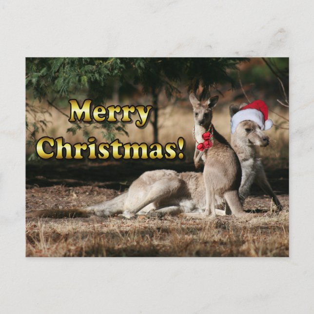 Aussie Style Christmas Kangaroos Feiertagspostkarte (Vorderseite)
